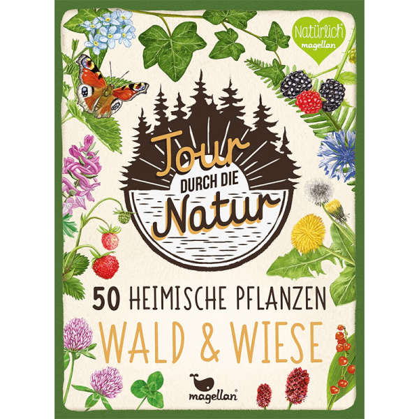 Spiel "Tour durch die Natur - Wald und Wiese"